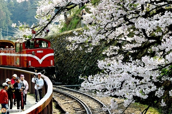 Image:1234566.jpg