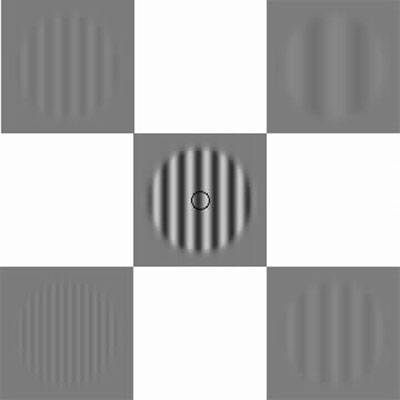 Image:Selective adaptation 3.jpg