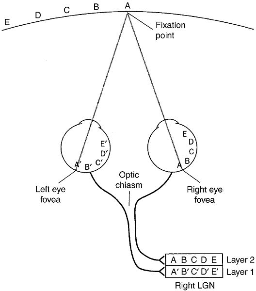 Image:Perception4.5.jpg